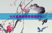 十大金典网络用语是什么