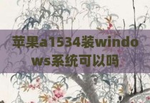 苹果a1534装windows系统可以吗