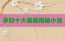 孕妇十大骗局揭秘小说
