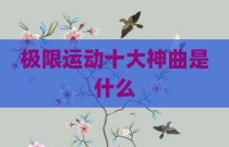 极限运动十大神曲是什么