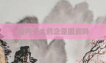 国内十大药企是国资吗