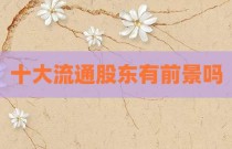 十大流通股东有前景吗
