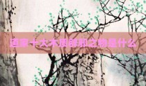 道家十大木质辟邪之物是什么
