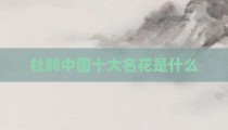 杜鹃中国十大名花是什么
