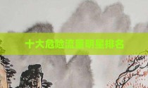 十大危险流量明星排名