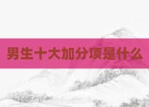 男生十大加分项是什么