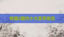 侍魂2国内十大高手排名