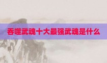 吞噬武魂十大最强武魂是什么