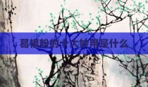 葛根粉的十大妙用是什么