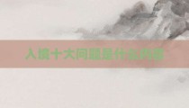 入境十大问题是什么内容