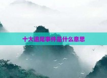 十大追尾事件是什么意思