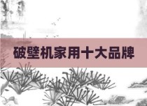 破壁机家用十大品牌