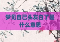 梦见自己头发白了是什么意思