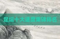 足坛十大速度集锦排名