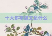 十大多字课文是什么
