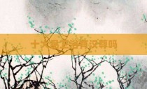 十大品卫浴有汉尊吗