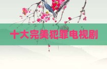 十大完美犯罪电视剧