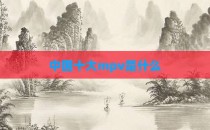 中国十大mpv是什么