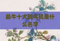 最牛十大战斗机是什么名字
