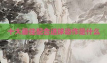 十大最佳配合进球动作是什么