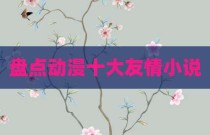 盘点动漫十大友情小说