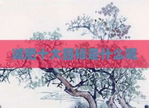 减肥十大目标是什么呢