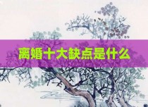 离婚十大缺点是什么