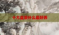 十大盆景什么最好养