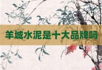 羊城水泥是十大品牌吗
