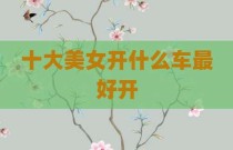 十大美女开什么车最好开