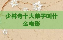 少林寺十大弟子叫什么电影