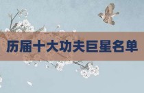 历届十大功夫巨星名单