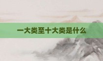 一大类至十大类是什么