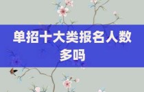 单招十大类报名人数多吗