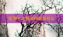 陇南十大整治内容是什么