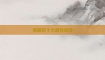 椭圆机十大国际品牌