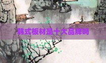 韩式板材是十大品牌吗