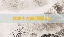 优惠十大商品是什么