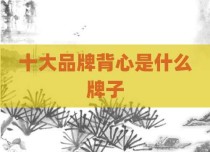 十大品牌背心是什么牌子