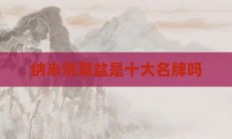 纳米洗菜盆是十大名牌吗