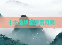 十大品牌厨房菜刀吗