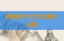 羽毛球十大口号是什么梗