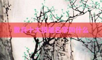 散兵十大技能名字叫什么