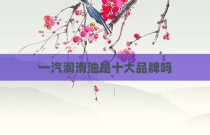 一汽润滑油是十大品牌吗