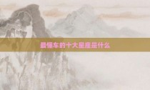 最懂车的十大星座是什么