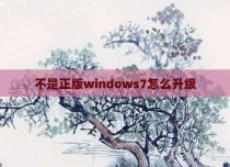 不是正版windows7怎么升级