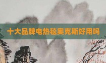 十大品牌电热毯奥克斯好用吗