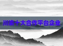 川渝十大合作平台企业