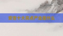 安吉十大亮点产业是什么
