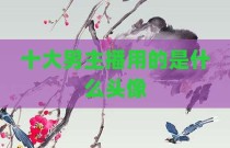 十大男主播用的是什么头像